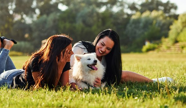 Découvrez la collection tendance de doudounes moncler pour femmes